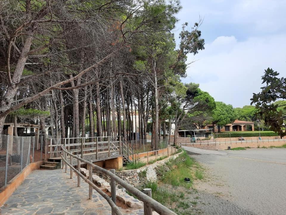 L'Armonia Entre La Farella I Cau Del Llop Apartment Llanca Ngoại thất bức ảnh